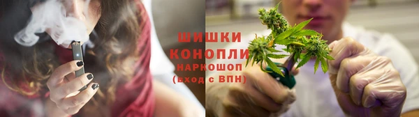 прущие грибы Абдулино