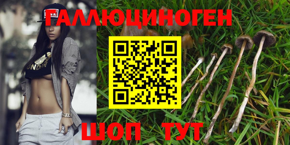 Псилоцибиновые грибы MAGIC MUSHROOMS  Вход с VPN  Губкин 